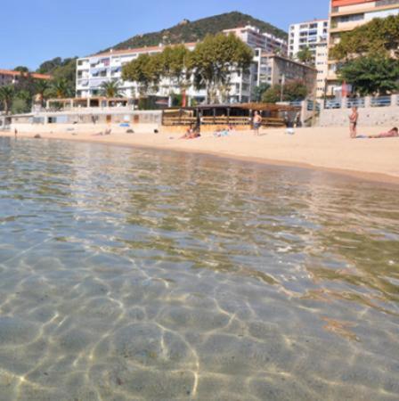 Appartement 50M2 Pied Dans L'Eau Ajaccio  Kültér fotó